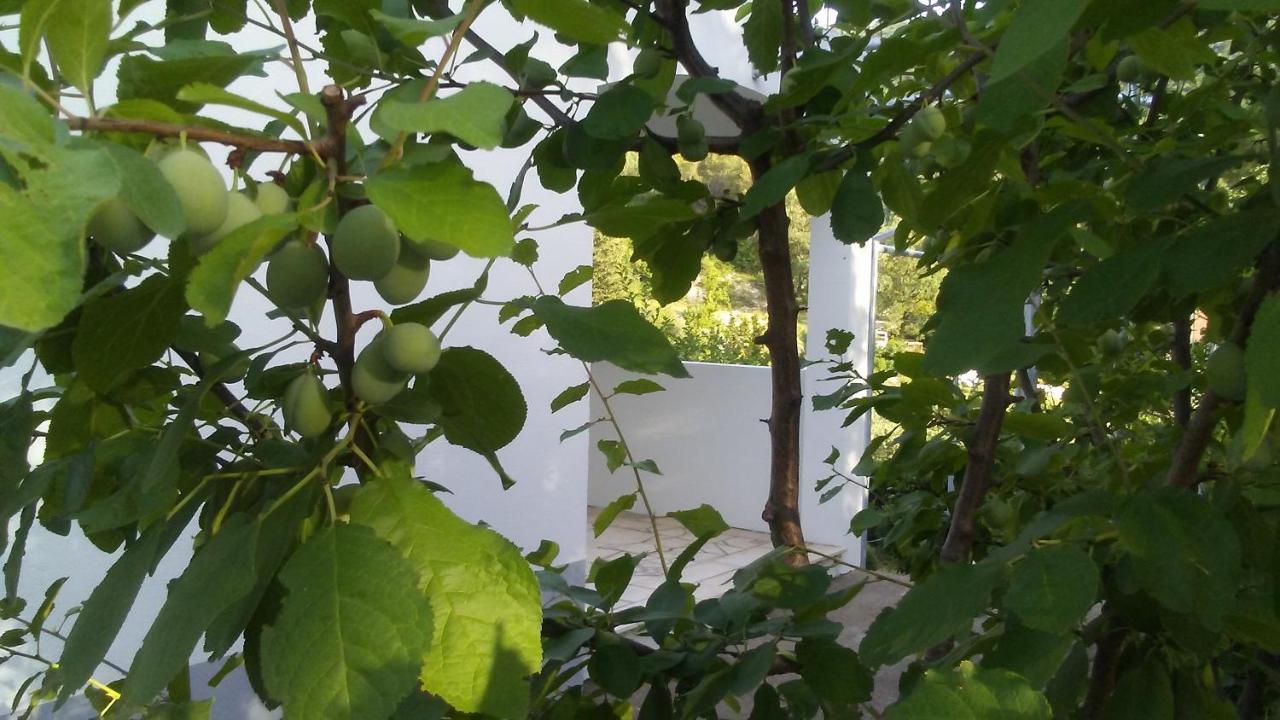 Villa Kuca Za Odmor Maka Kučiće Exterior foto