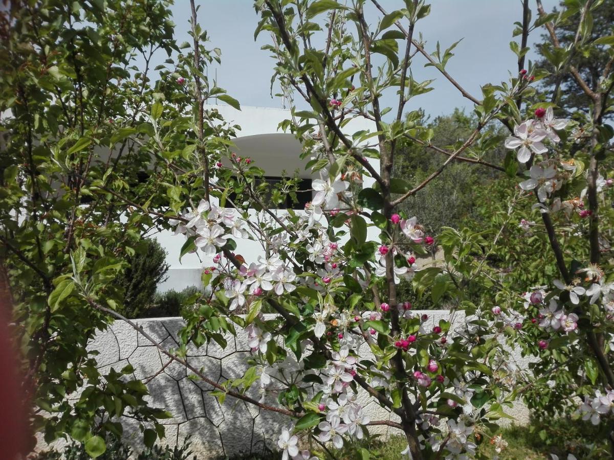 Villa Kuca Za Odmor Maka Kučiće Exterior foto