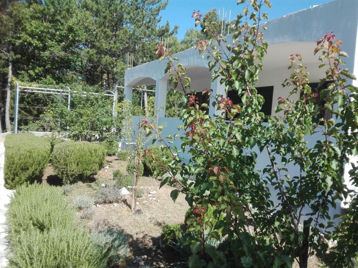 Villa Kuca Za Odmor Maka Kučiće Exterior foto