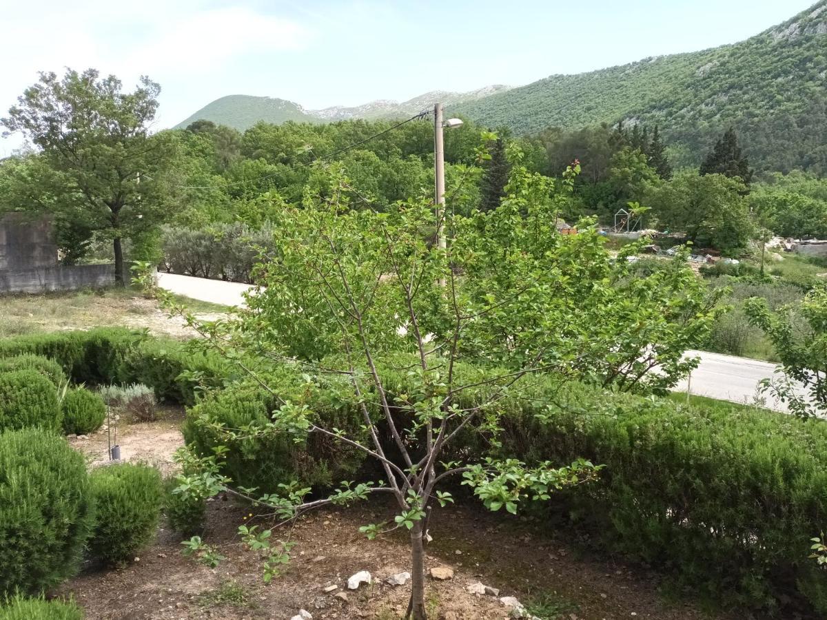 Villa Kuca Za Odmor Maka Kučiće Exterior foto