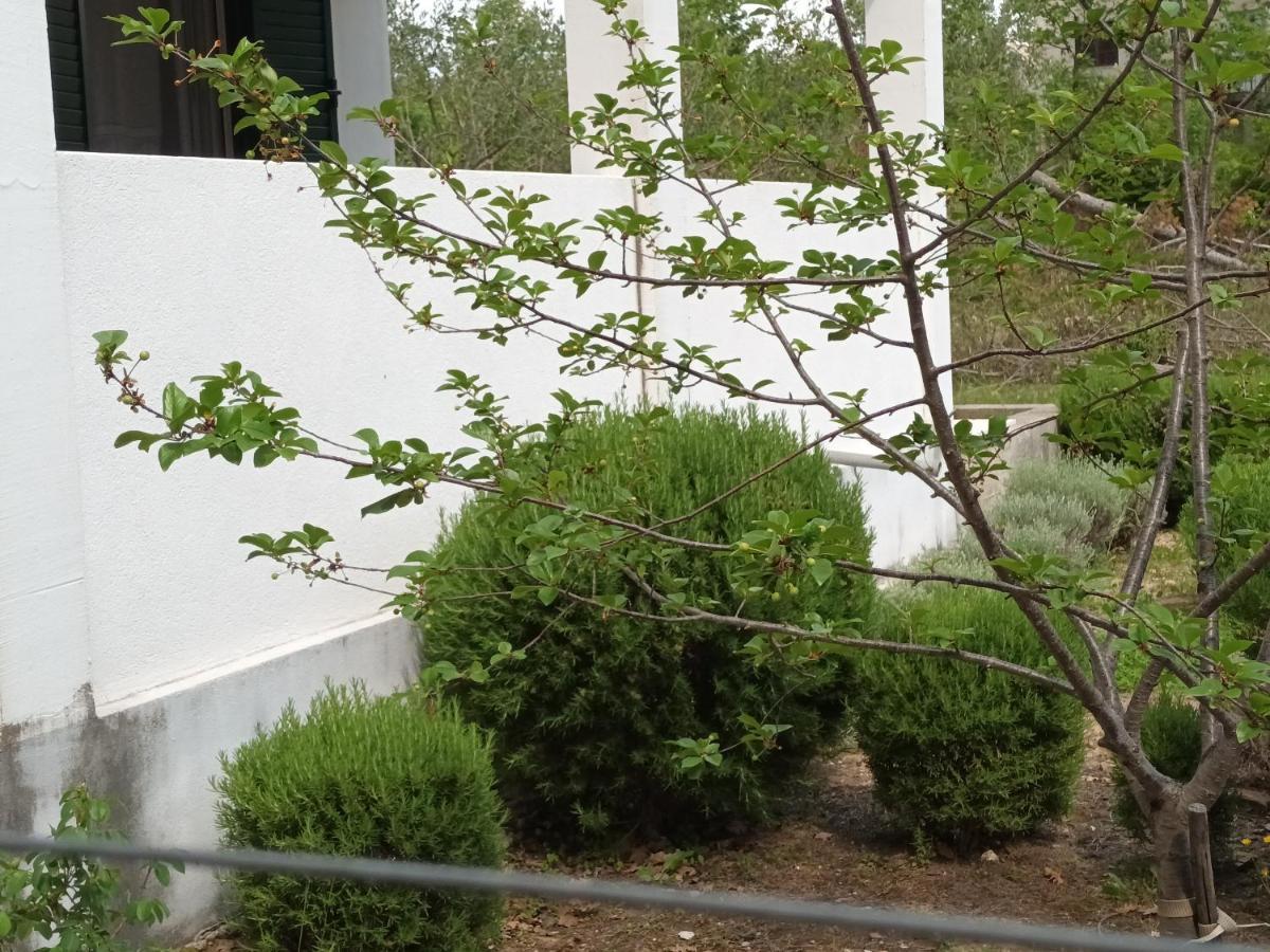 Villa Kuca Za Odmor Maka Kučiće Exterior foto
